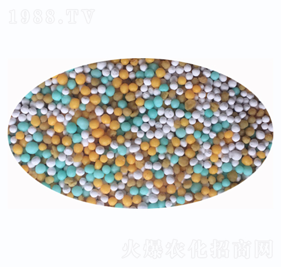 �w����-���r����