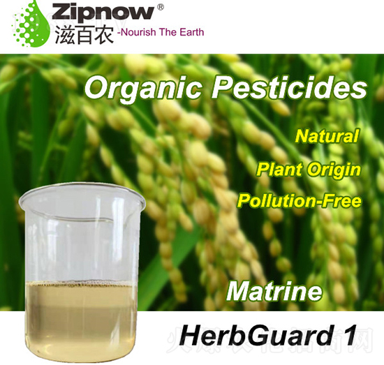 ˎ�����l(w��i)��-�̰��r(n��ng)