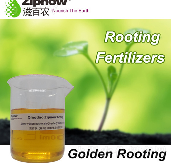 �S������-������-�̰��r(n��ng)