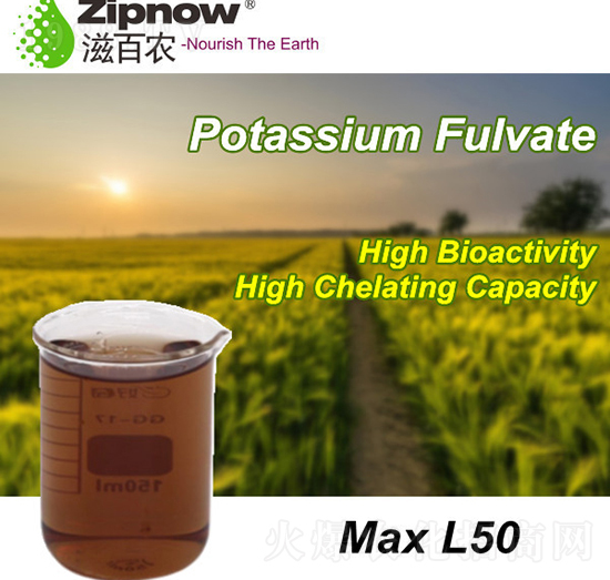 �S�����-�̰��r