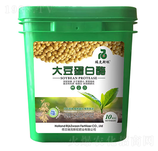 �󶹵���ø-���˹��