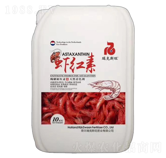 �r�t��-���˹��