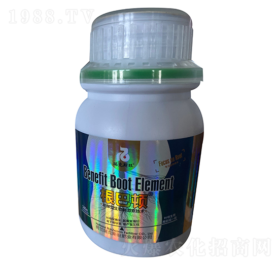 �����D-���˹��