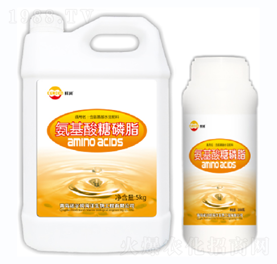 ����������֬-�Z����