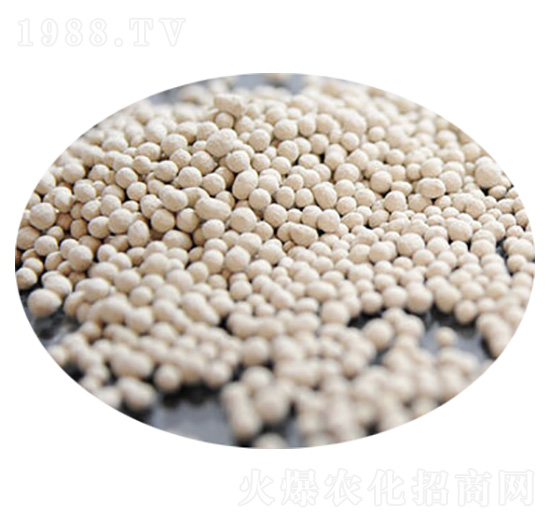 ���V��-�R�񻯹�