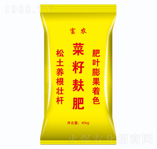 ��������-���r-�Έ�����