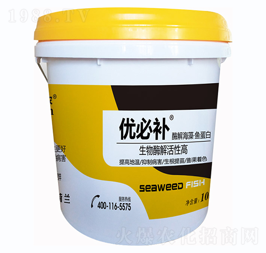 ø�⺣���~����-��(y��u)���a(b��)-�Έ�����