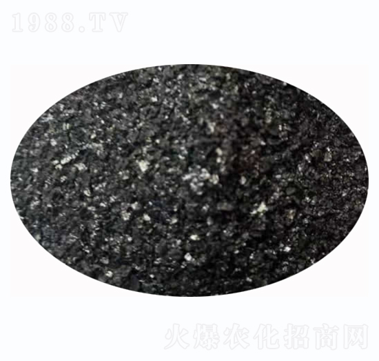 �S�����-�S����