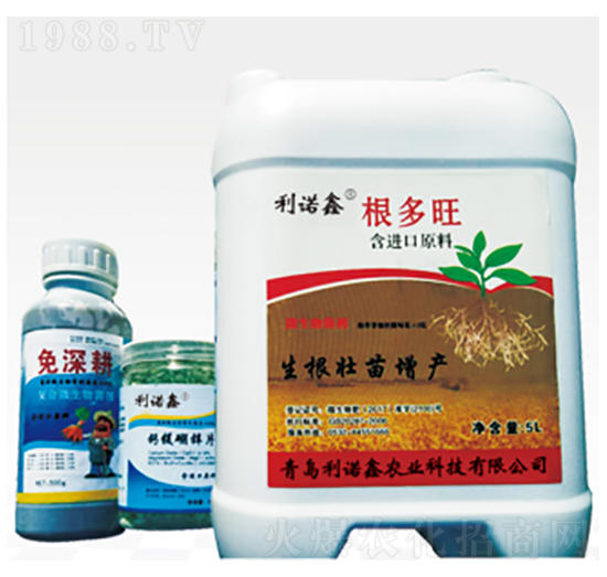 ������-���Z��