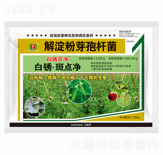 ���C�����c��-�����S