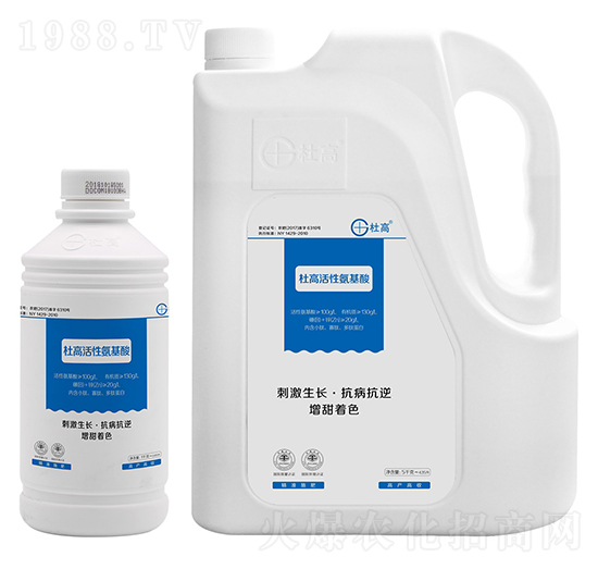 ���԰�����-�Ÿ�