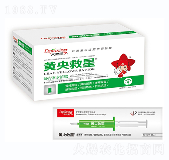 �S�����-�����