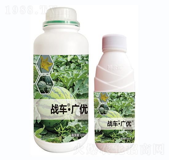 ��(zh��n)܇(ch��)���V��(y��u)-����-��(zh��n)܇(ch��)