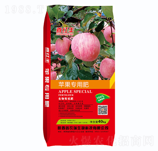 �O�����������ЙC��-ϲ�t�S-���r��