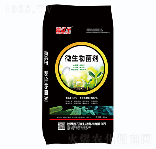 ΢�������-ϲ�t�S-���r(n��ng)��