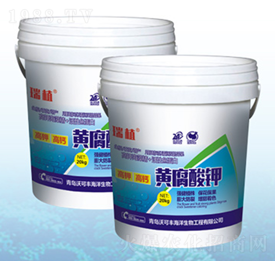 �S�����-�ֿ��S