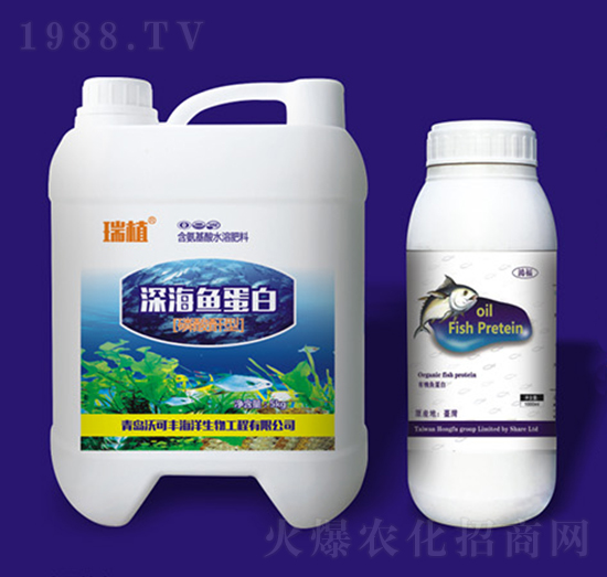 ��~(y��)����-�ֿ��S