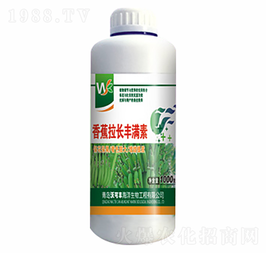 �㽶���L�S�M��-�ֿ��S