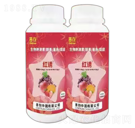 ����̼��أ��n����ɫ����-�t�T-�ƴ�����