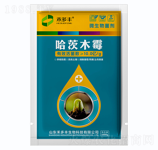 ����ľù-�̶��S