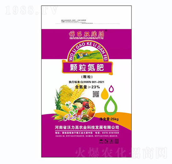 �w������-�ΰ��p��̥-������