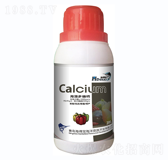 ��������}-���Ì�-���r��