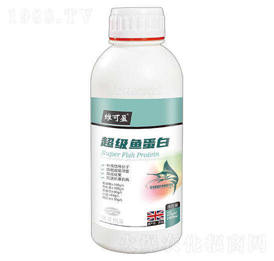 ����(j��)�~(y��)����-�S��ӯ-ِ�Ƹ��R