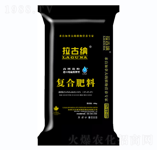 ������������͏�(f��)�Ϸ���17-17-17-���ż{-����ʘI(y��)