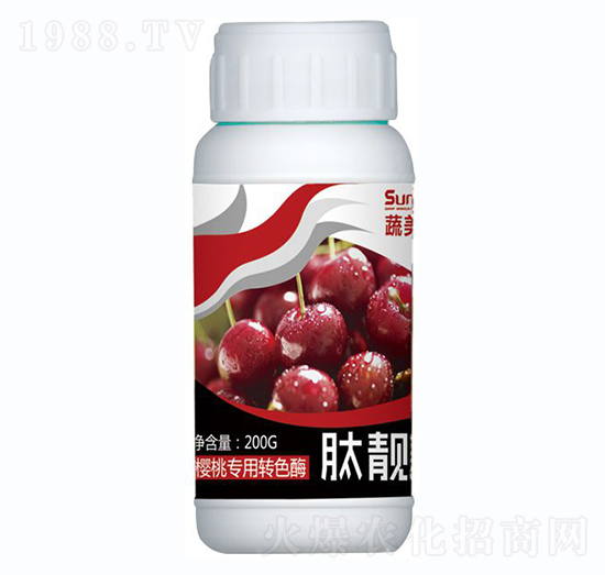 ���Ҍ����D(zhu��n)ɫø-���n��-������