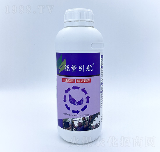 1L��������-��Ȼ��