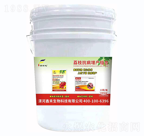 ��֦�������a�M��-�G���-�κ�����