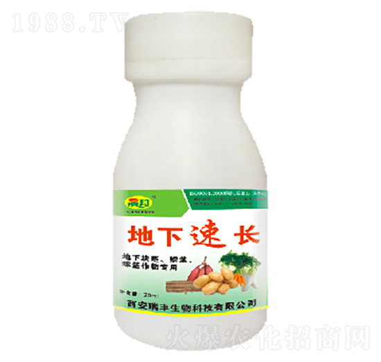 �������L(zh��ng)-�ɰ�����