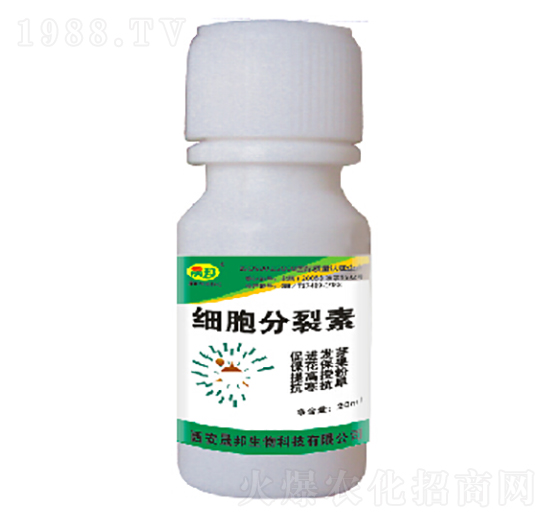 ��(x��)��������-�ɰ�����