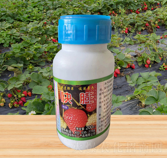 ����-�𲮘�(l��)