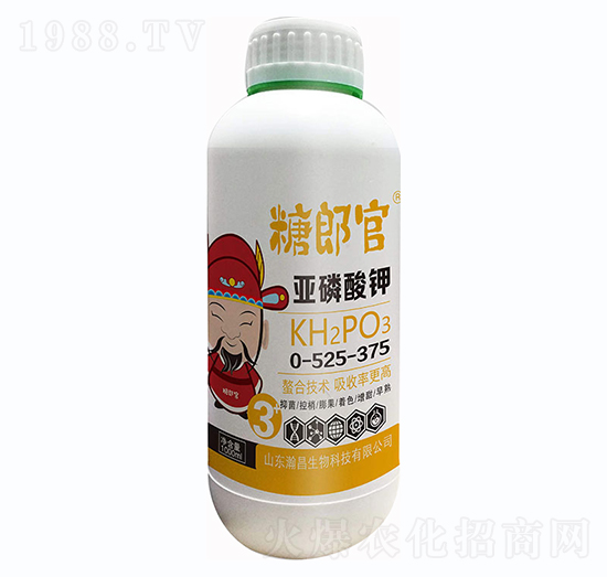 ���ɹ١��������-嫲�����