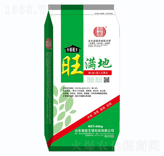 ���M��-嫲�����