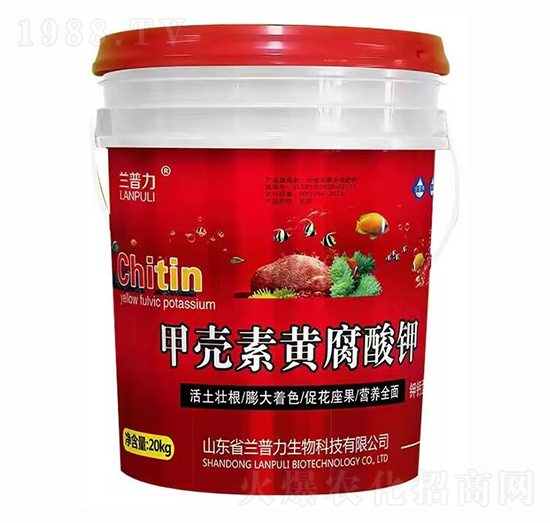 �ך����S�����-�m����