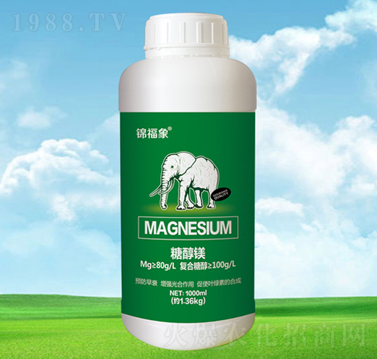 �Ǵ��V-�\����-�S���r�I(y��)