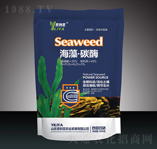 ���塤̼ø-������