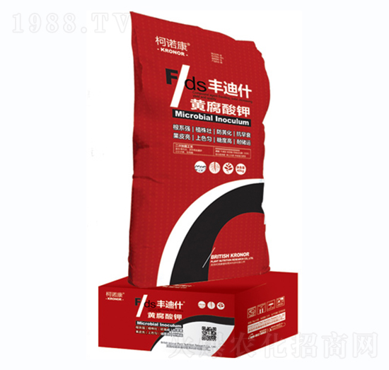 �S�����-�S��ʲ-���Z��-�|�Ҙ�(l��)