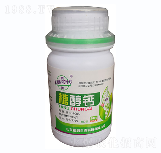 �Ǵ��}-�H�i���B(t��i)