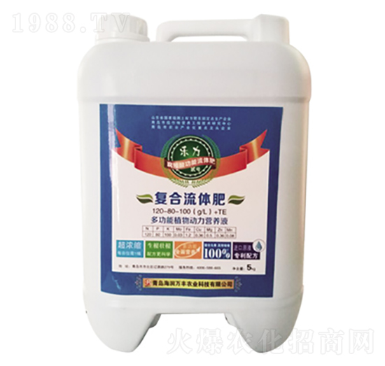 �����E̖�ͺ����w��-�����f�S