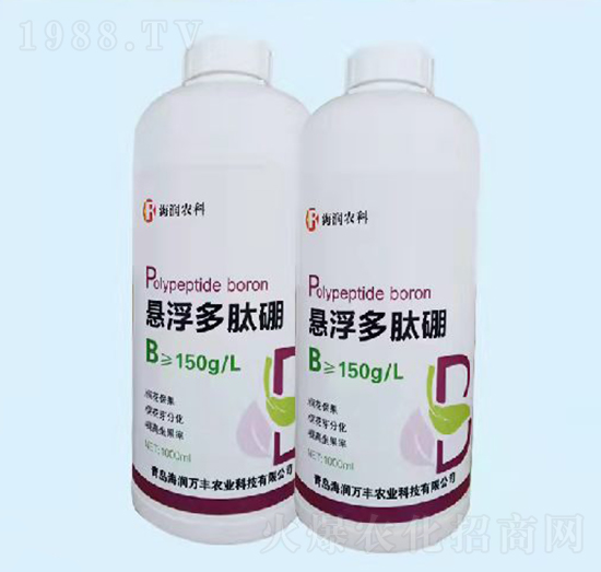 �Ҹ�������-����(r��n)�f�S