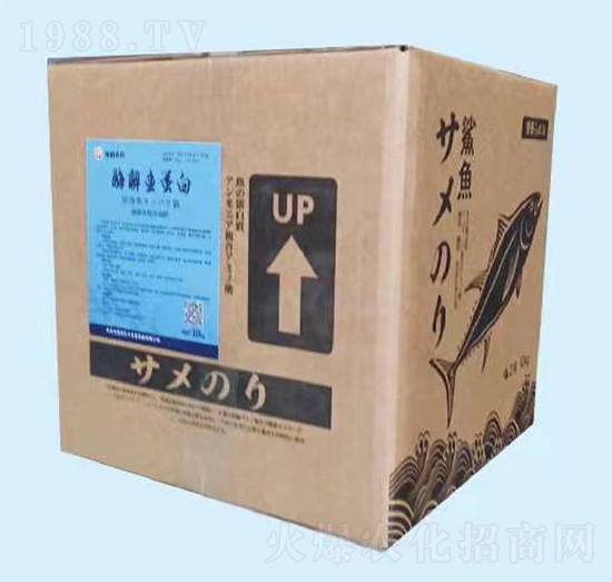 ø���~����ԭ�{-�����f�S