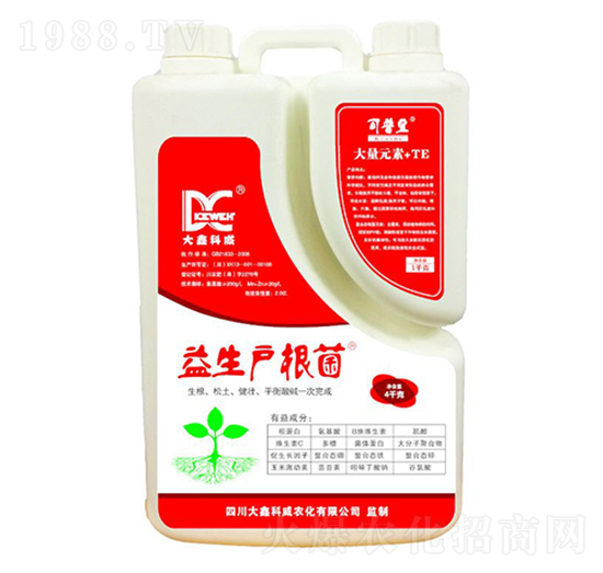 ������(h��)����-���ο���