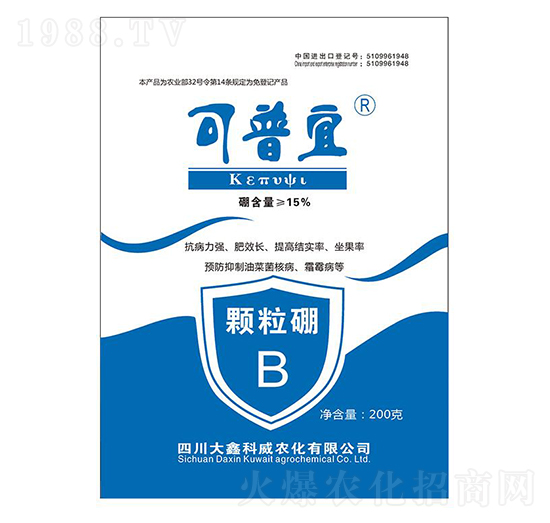 �w����-������-���ο���