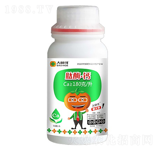 ��ø���}-������