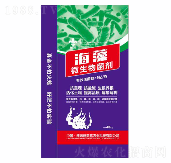 ����΢�������-ʩ����