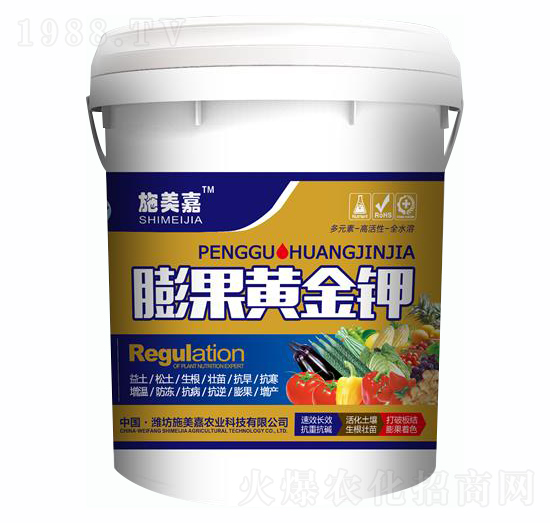 ����S���-ʩ����