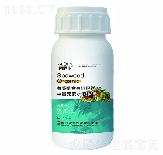 ���������ЙC�}�V-�����_-�Ɲ��r(n��ng)��